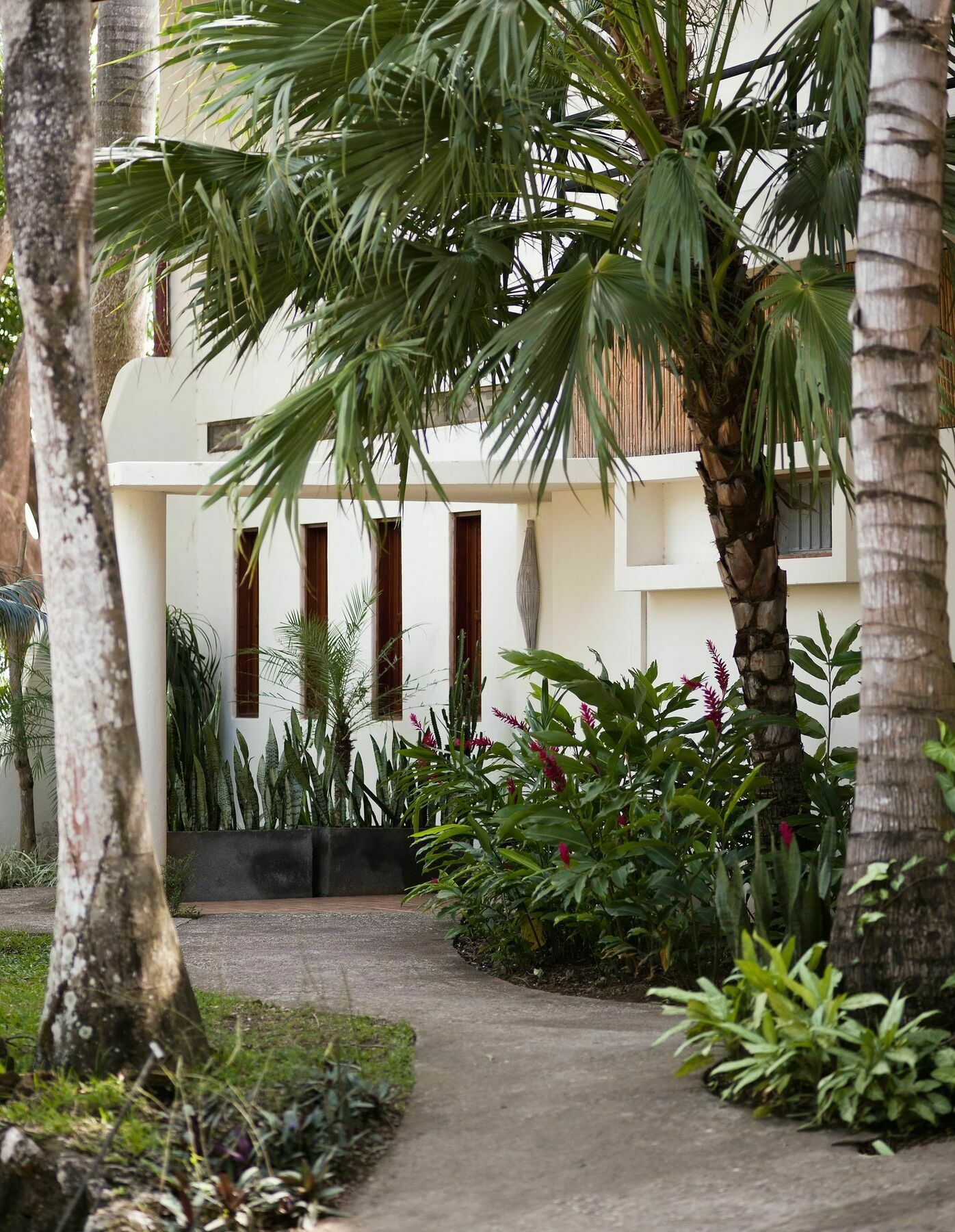 Tierra Magnifica Boutique Hotel Носара Екстер'єр фото